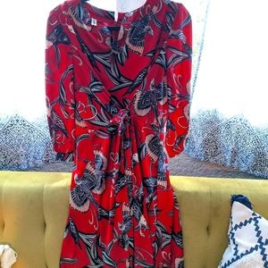Gorgeous Phoenix rising dress